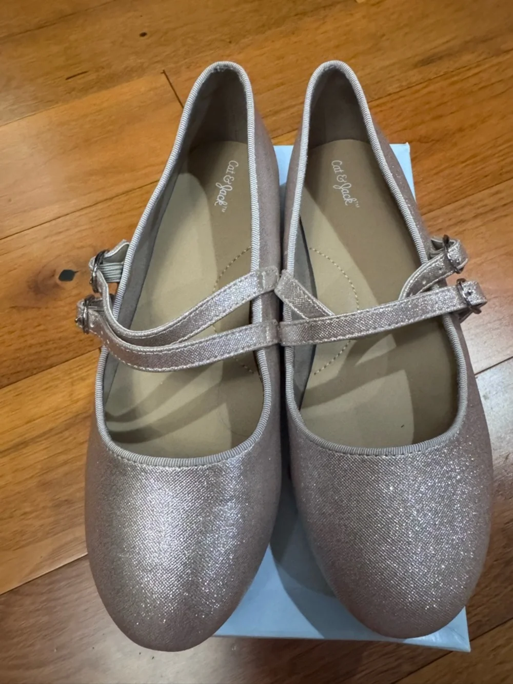 Cat & Jack Shimmery Double-Strap Flats in Gold/Rose